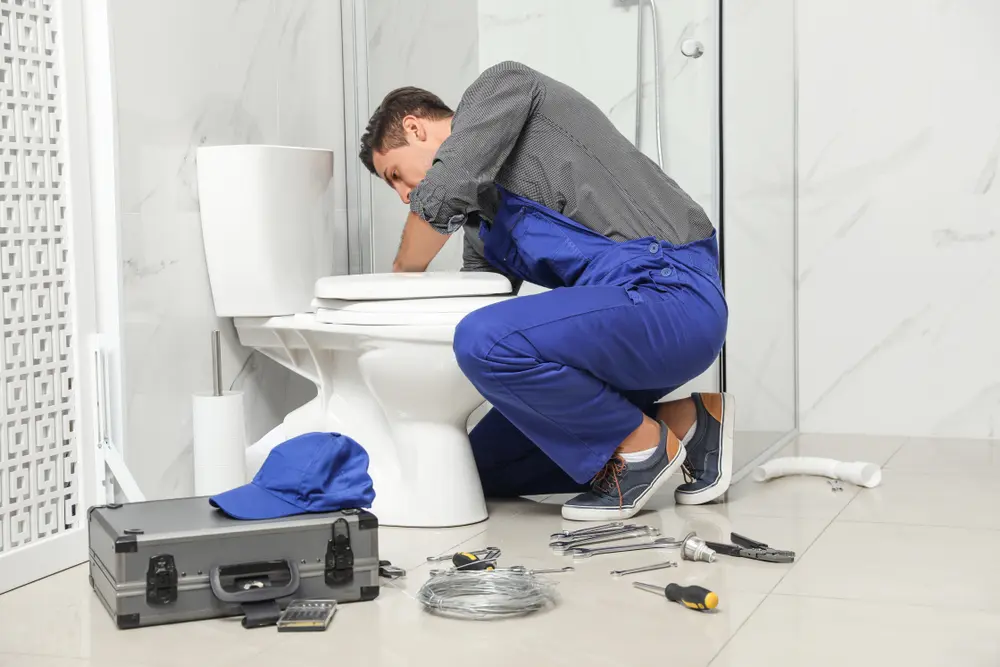 Toilet Repair in Hampton